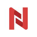 NetExplorer logo