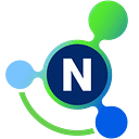 NetFoundry logo