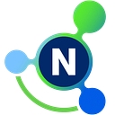 Netfoundry logo