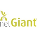 Netgiant Ltd logo