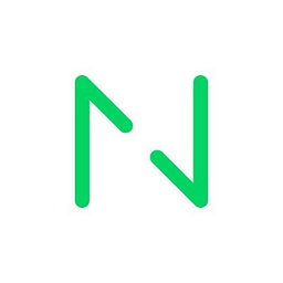 Netguru logo