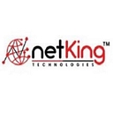 NetKing logo