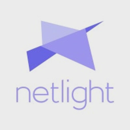 NETLIGHT CONSULTING LIMITED logo