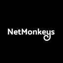 Netmonkeys Ltd logo