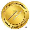 Netpace logo