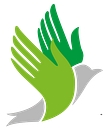 Netpex logo