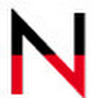 NETRONIC Software GmbH logo