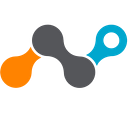 Netskope logo