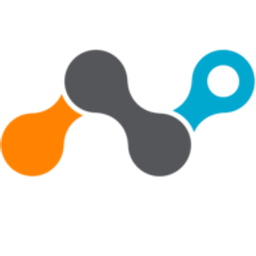 Netskope SASE logo