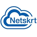 Netskrt Systems Inc. logo