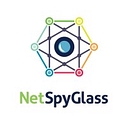 Netspyglass logo