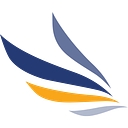 Netstrategies logo