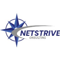 NetStrive Consulting, LLC logo