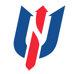Netuno USA, INC logo