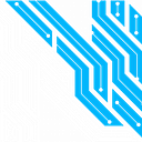 Netviss logo