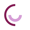 The Network Support Company logo