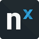 Nx Witness logo