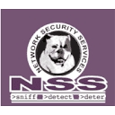 Network Security Services logo