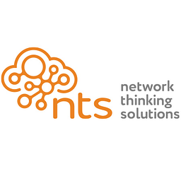 Network Thinking Solutions, Inc. logo