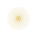 Neurosomatic logo