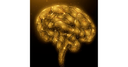 NeuroSpells logo