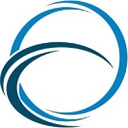 Favicon of NeuroVascular Research and Design
