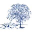 Newton Cemetery & Arboretum logo