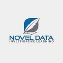 New Data Risk Solutions & Investigations Inc. logo