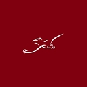 New Eagle logo