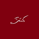 New Eagle