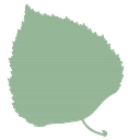 New Ecology, Inc. logo