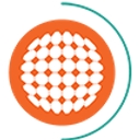 New Energy Solar logo