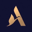 New Era Finance logo