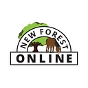 newforest-online.co.uk icon