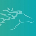 Favicon of New Frontier Data