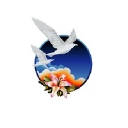 New Image International logo