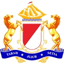 New Island Hospital logo