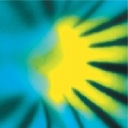 The New Phytologist Foundation logo