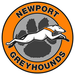 THE ACADEMIES AT NEWPORT HIGH SCHOOL logo