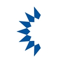 NEWSPRING CAPITAL INC