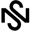 New Standard Partners Llc logo