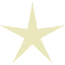NewStar Media Logo