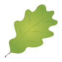Newstead Model School logo