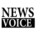 newsvoice.se logo