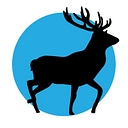 Newton Chase logo