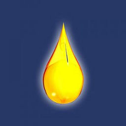 Newton Oil Company, Inc logo