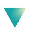 New Visual Media Llc logo