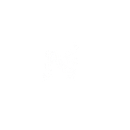 nexoid.cl logo