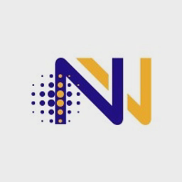 Nexus Values Ltd logo