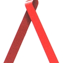Northeast Florida Aids Network logo